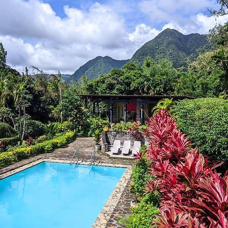 The Golden Frog Inn El Valle de Anton 외부 사진