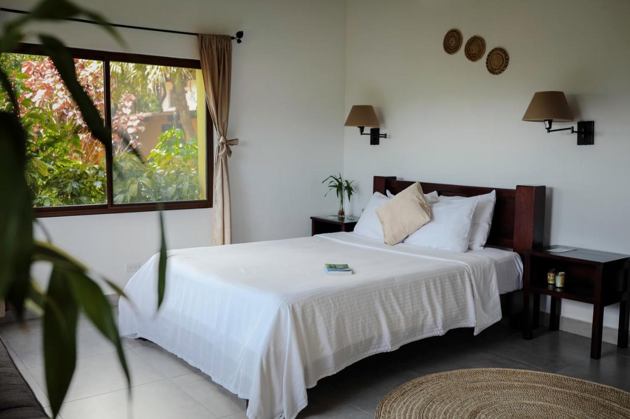 The Golden Frog Inn El Valle de Anton 외부 사진