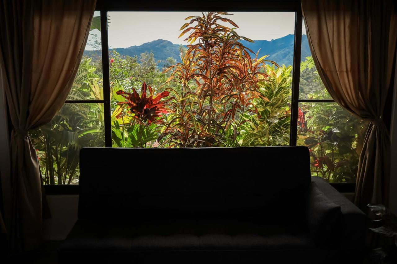 The Golden Frog Inn El Valle de Anton 외부 사진