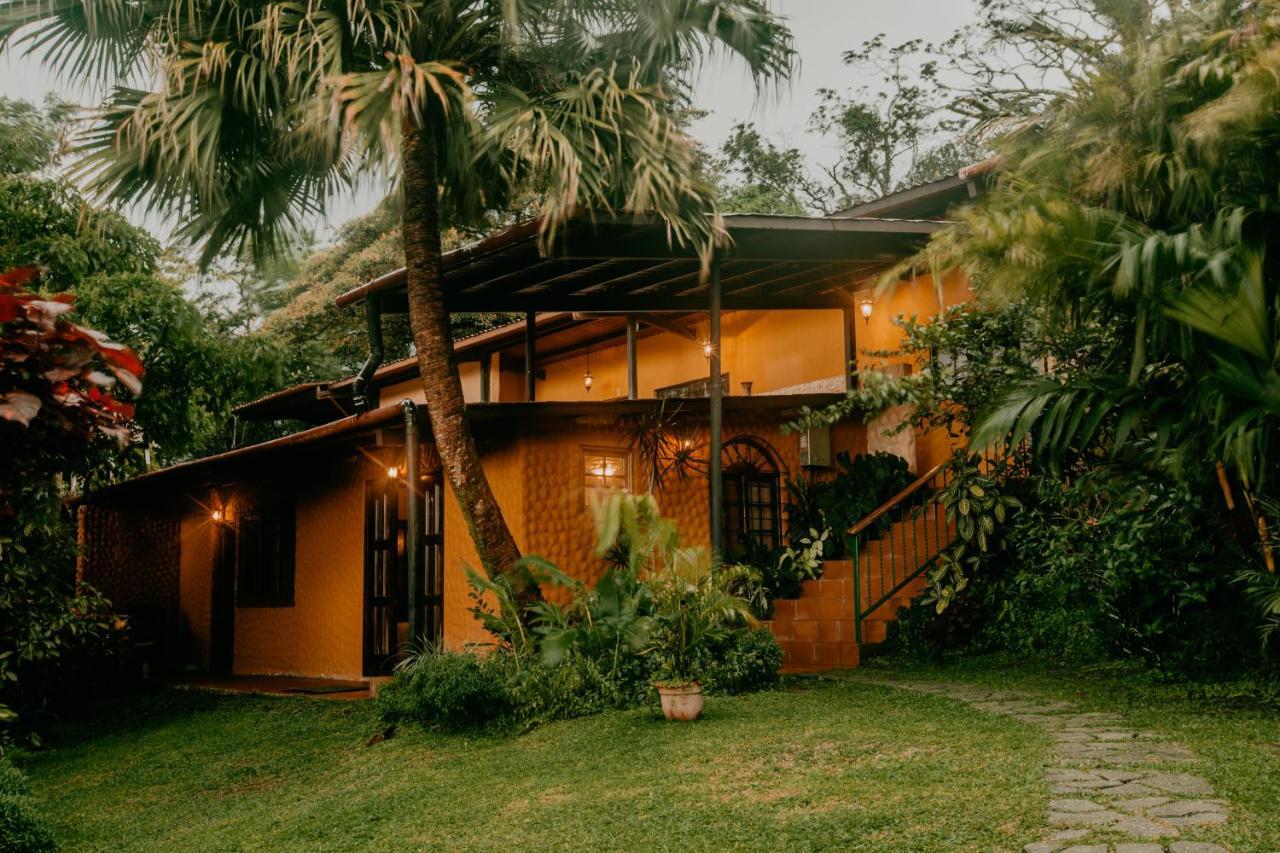 The Golden Frog Inn El Valle de Anton 외부 사진