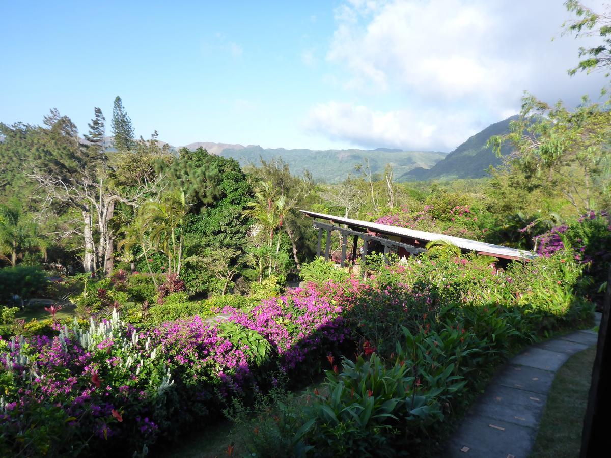 The Golden Frog Inn El Valle de Anton 외부 사진