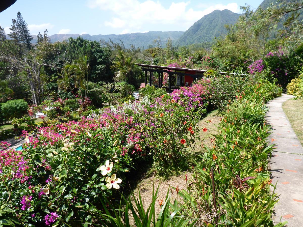 The Golden Frog Inn El Valle de Anton 외부 사진