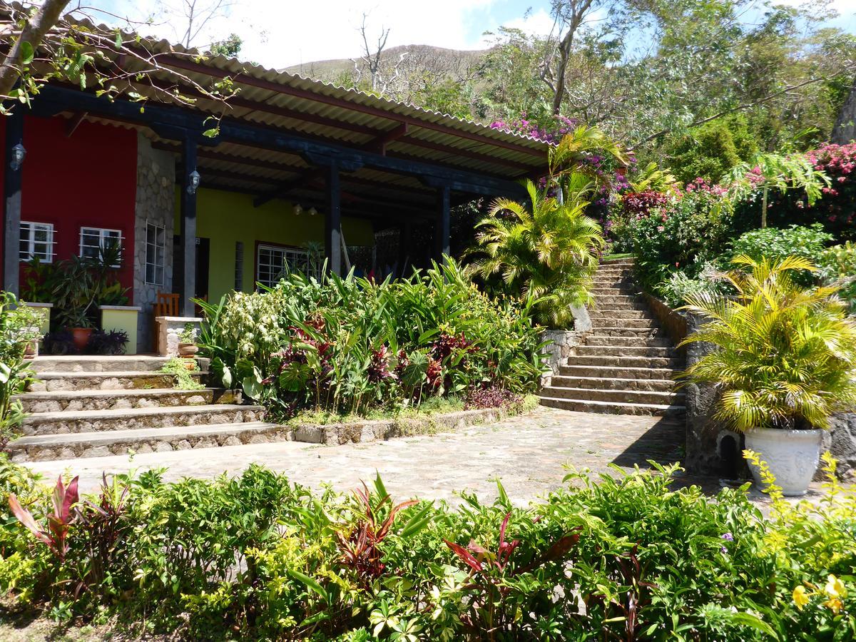 The Golden Frog Inn El Valle de Anton 외부 사진