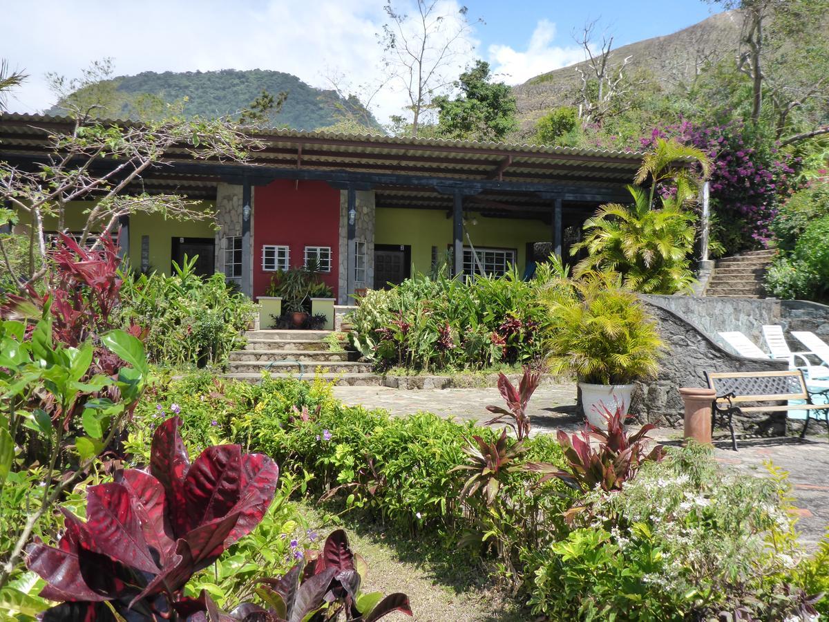 The Golden Frog Inn El Valle de Anton 외부 사진
