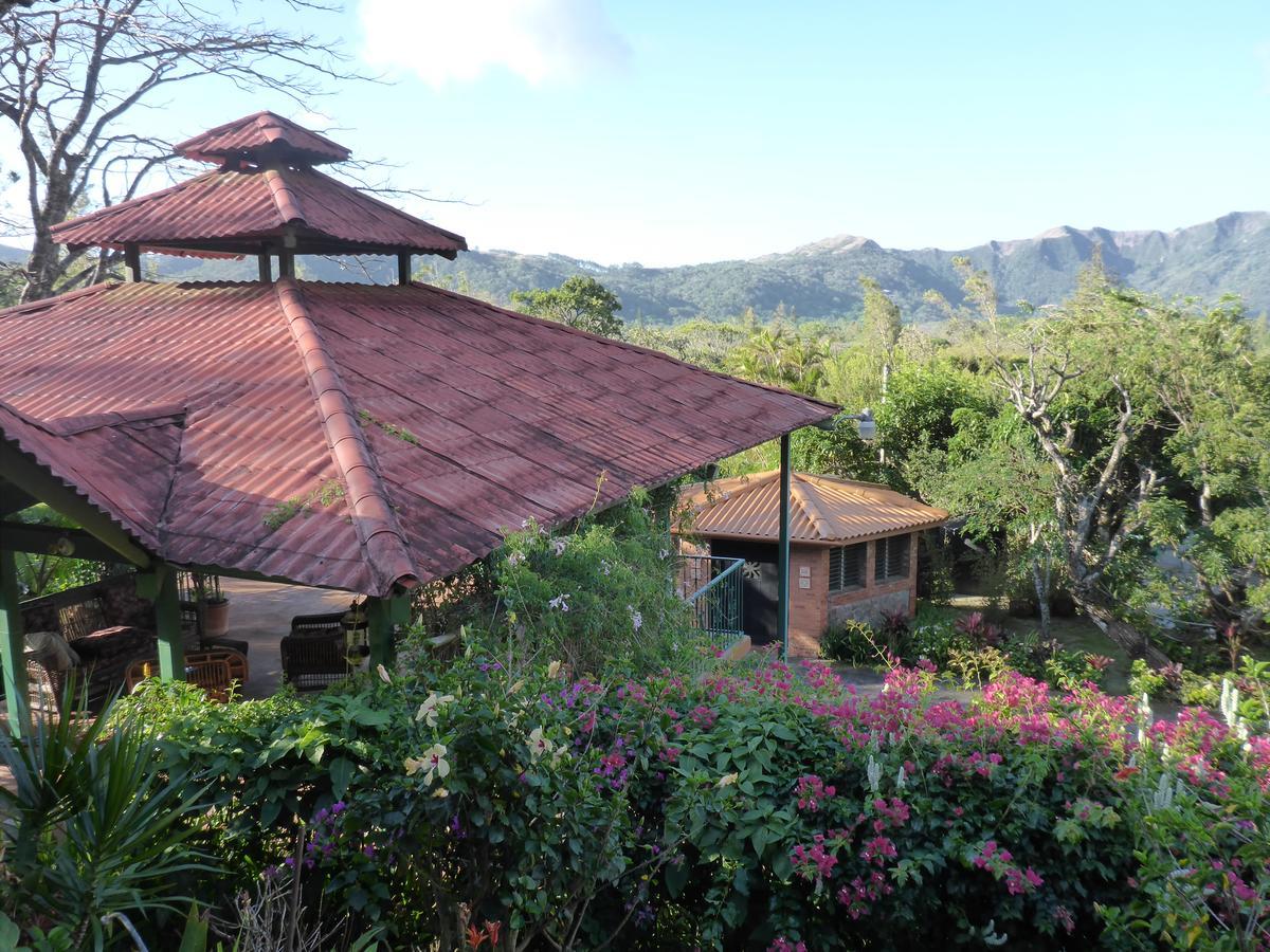 The Golden Frog Inn El Valle de Anton 외부 사진