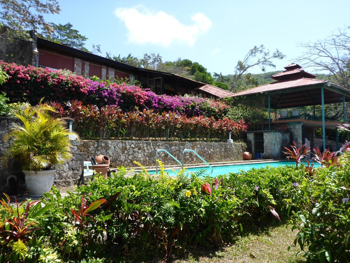 The Golden Frog Inn El Valle de Anton 외부 사진