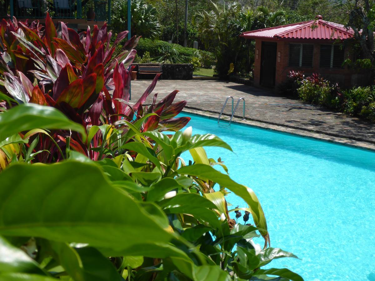 The Golden Frog Inn El Valle de Anton 외부 사진