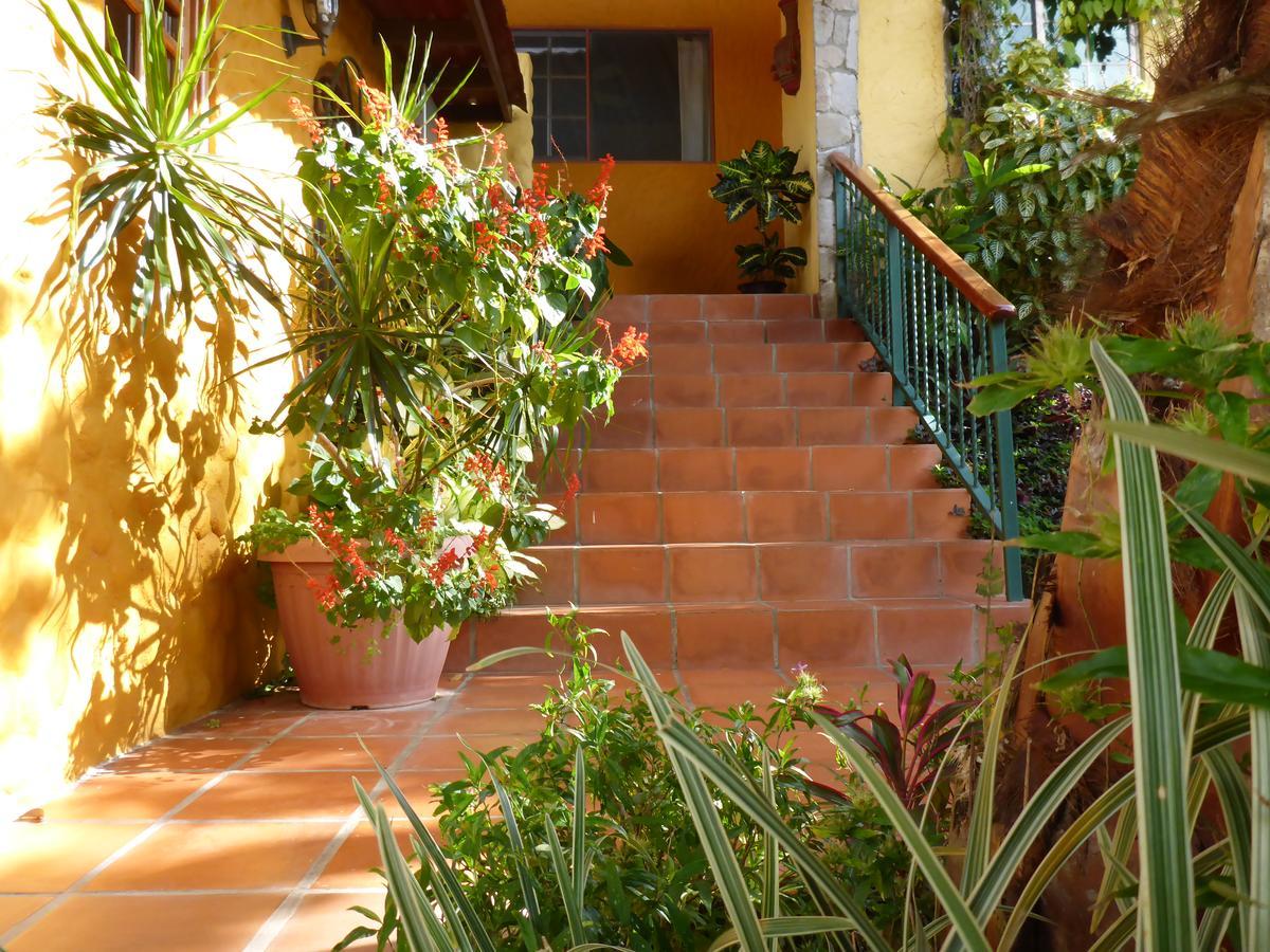 The Golden Frog Inn El Valle de Anton 외부 사진