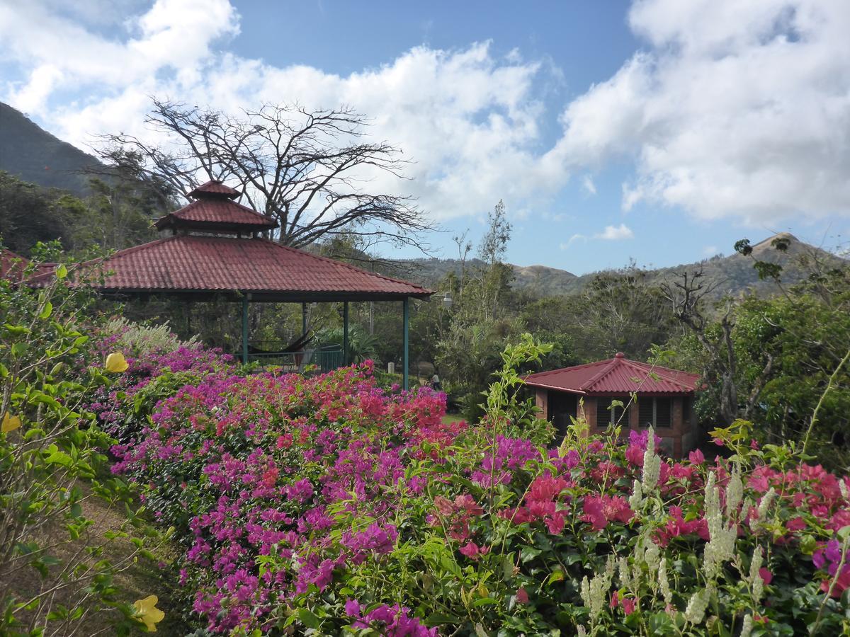 The Golden Frog Inn El Valle de Anton 외부 사진