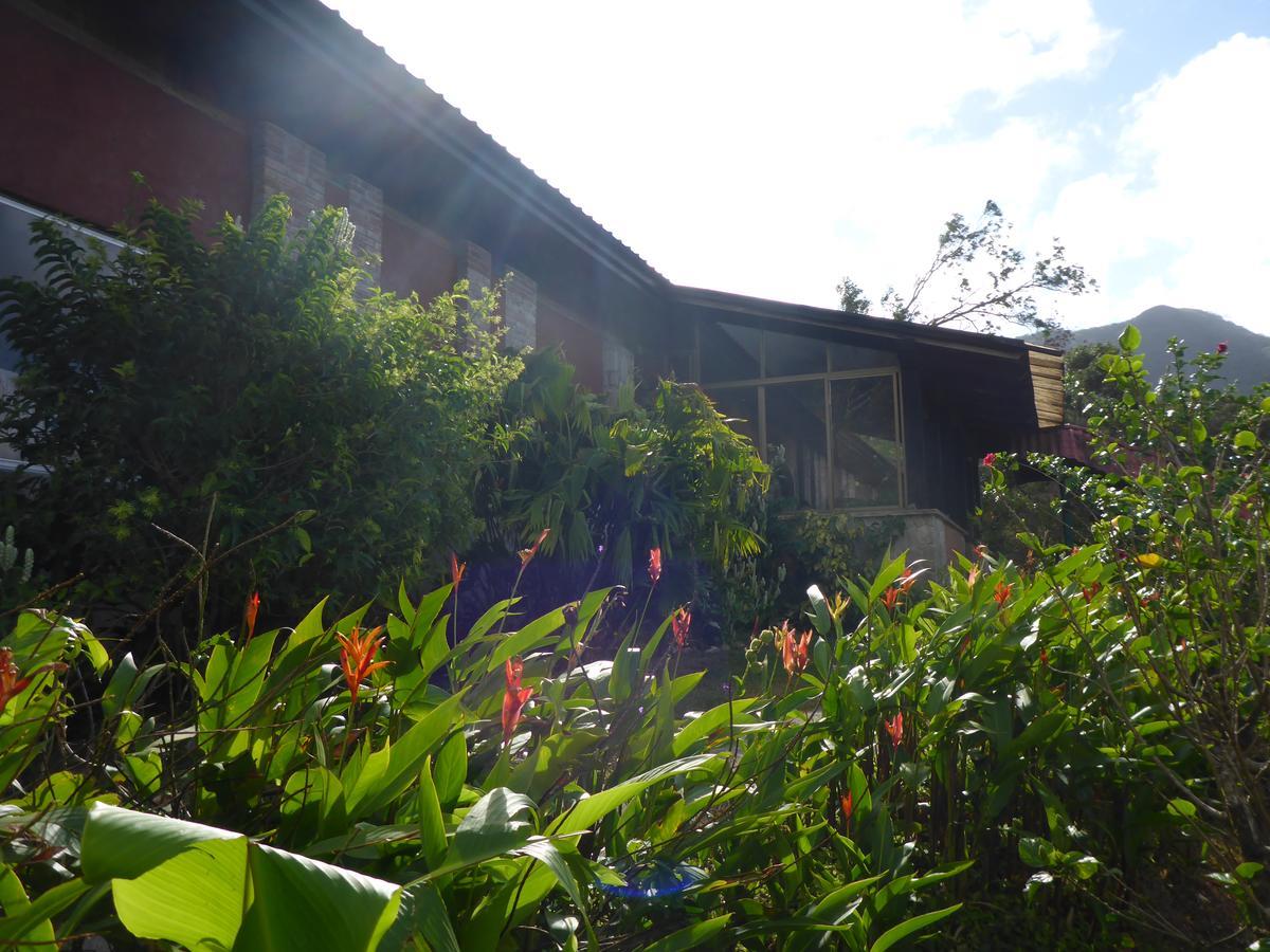 The Golden Frog Inn El Valle de Anton 외부 사진