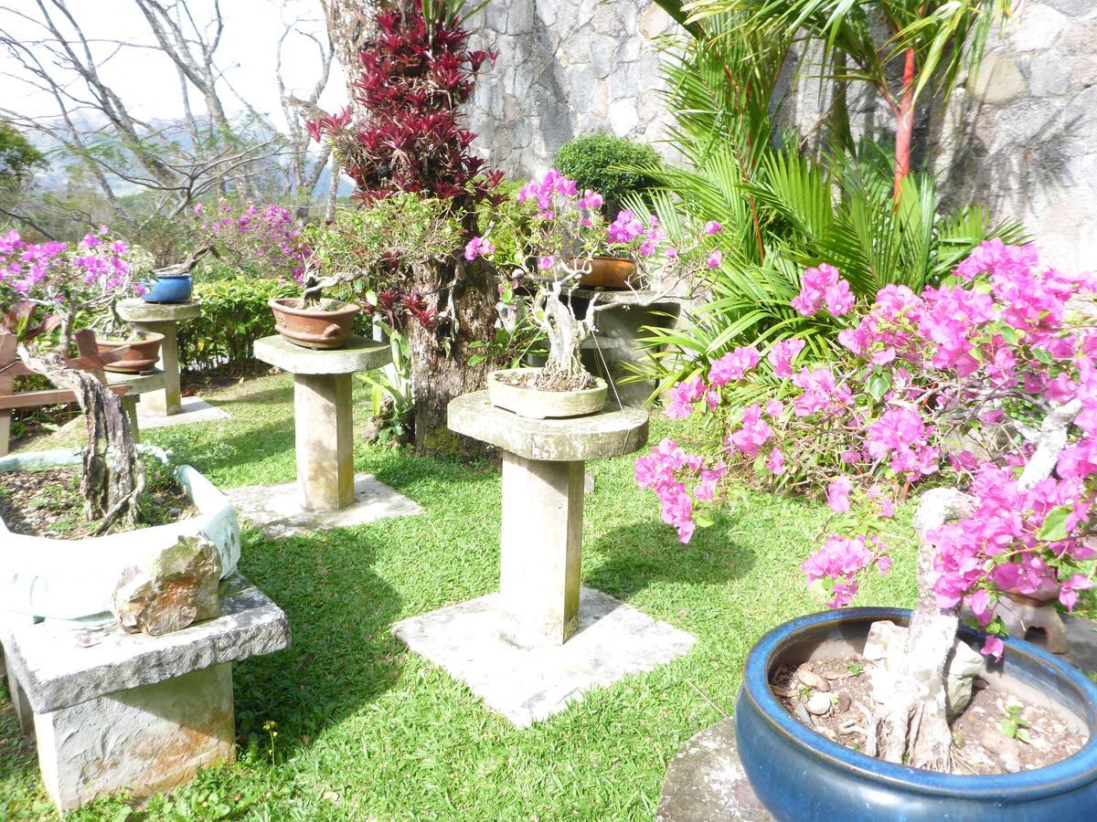 The Golden Frog Inn El Valle de Anton 외부 사진